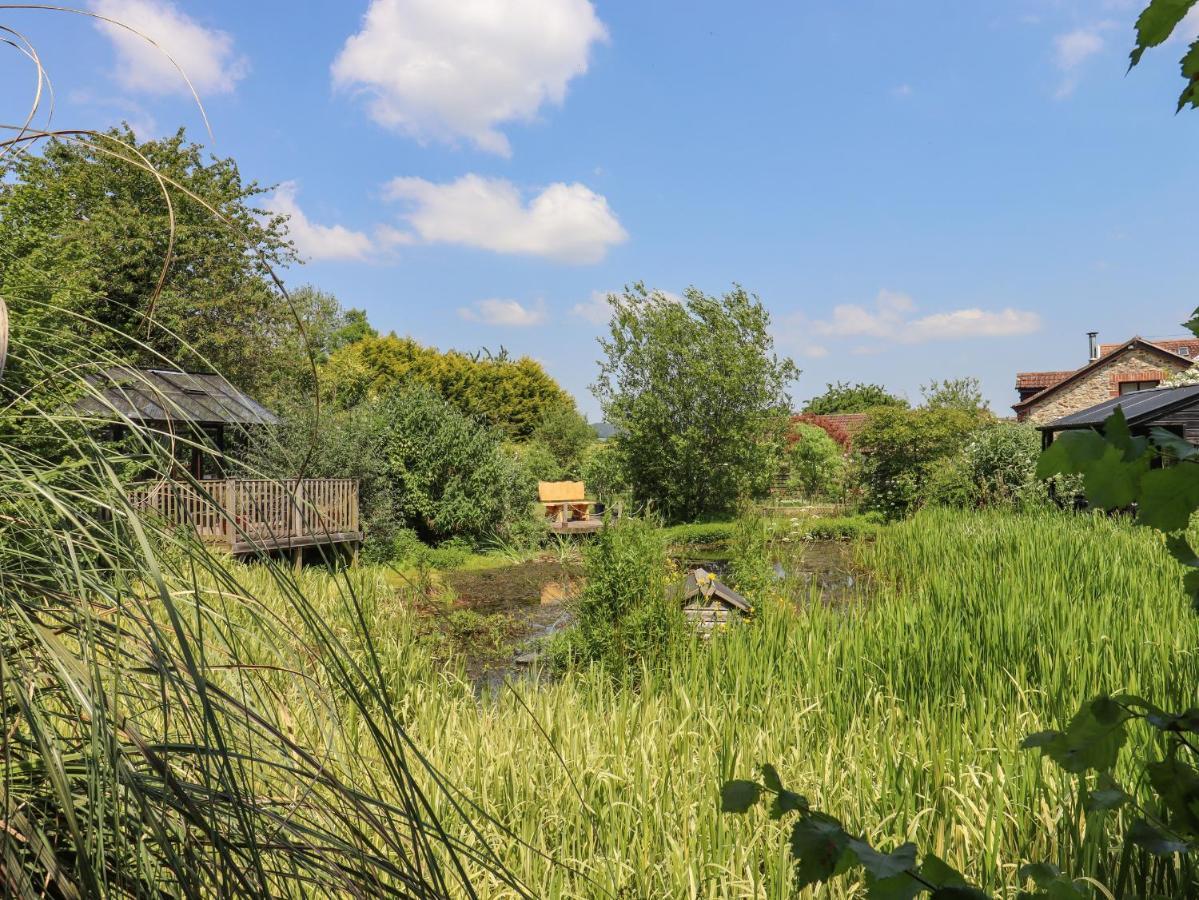 Villa The Calf Pen Colyton Exterior foto